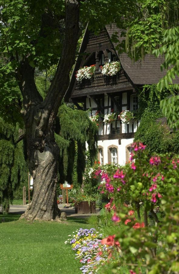 Nancy Ville Zewnętrze zdjęcie